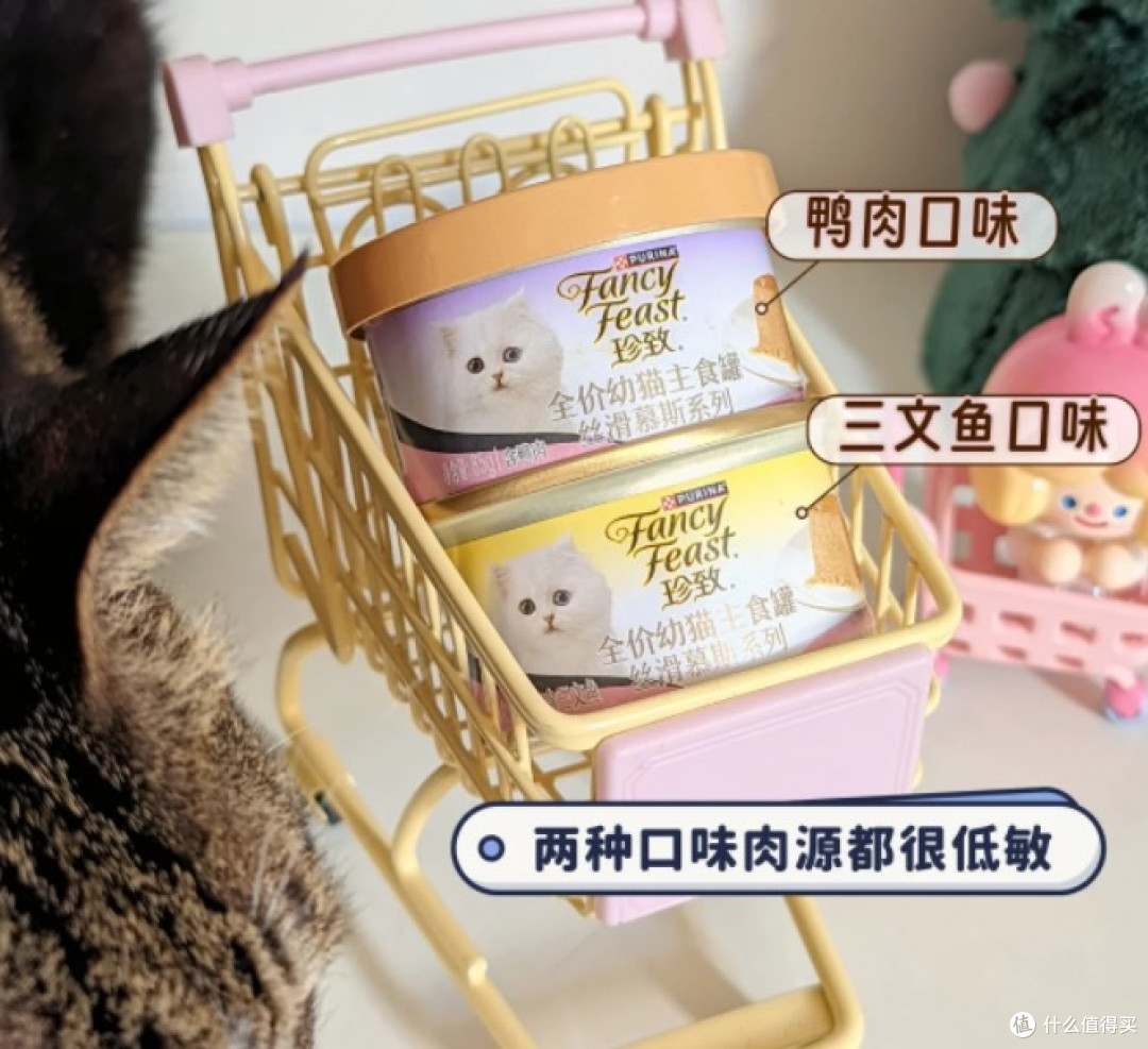 猫罐罐到底怎么选才不踩坑