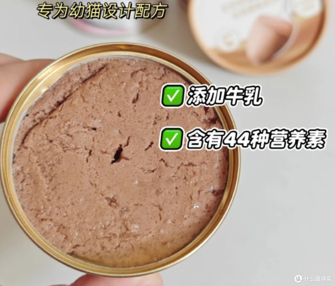 猫罐罐到底怎么选才不踩坑