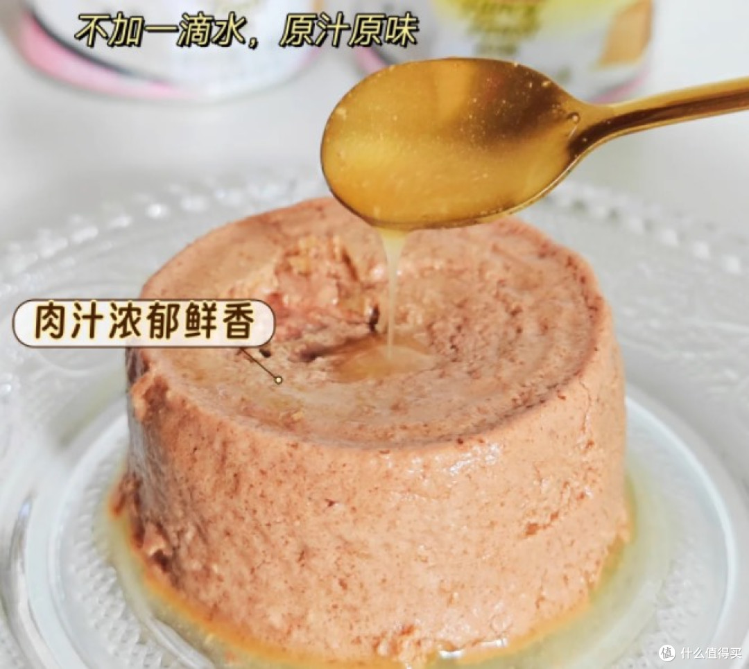 猫罐罐到底怎么选才不踩坑
