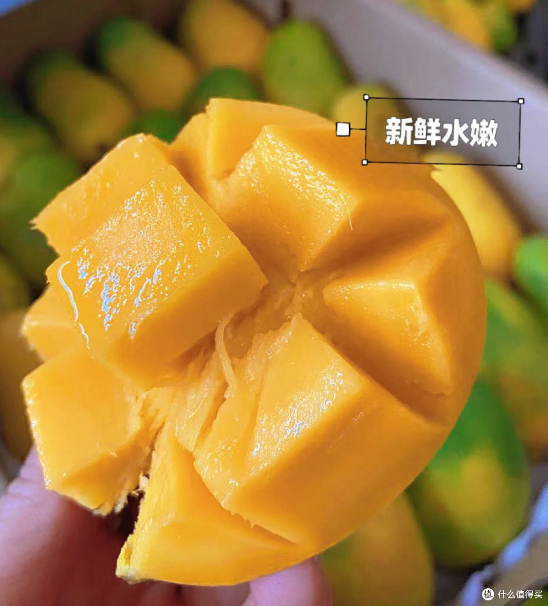 果子锐评家认证!海南小台芒一口入魂超上头