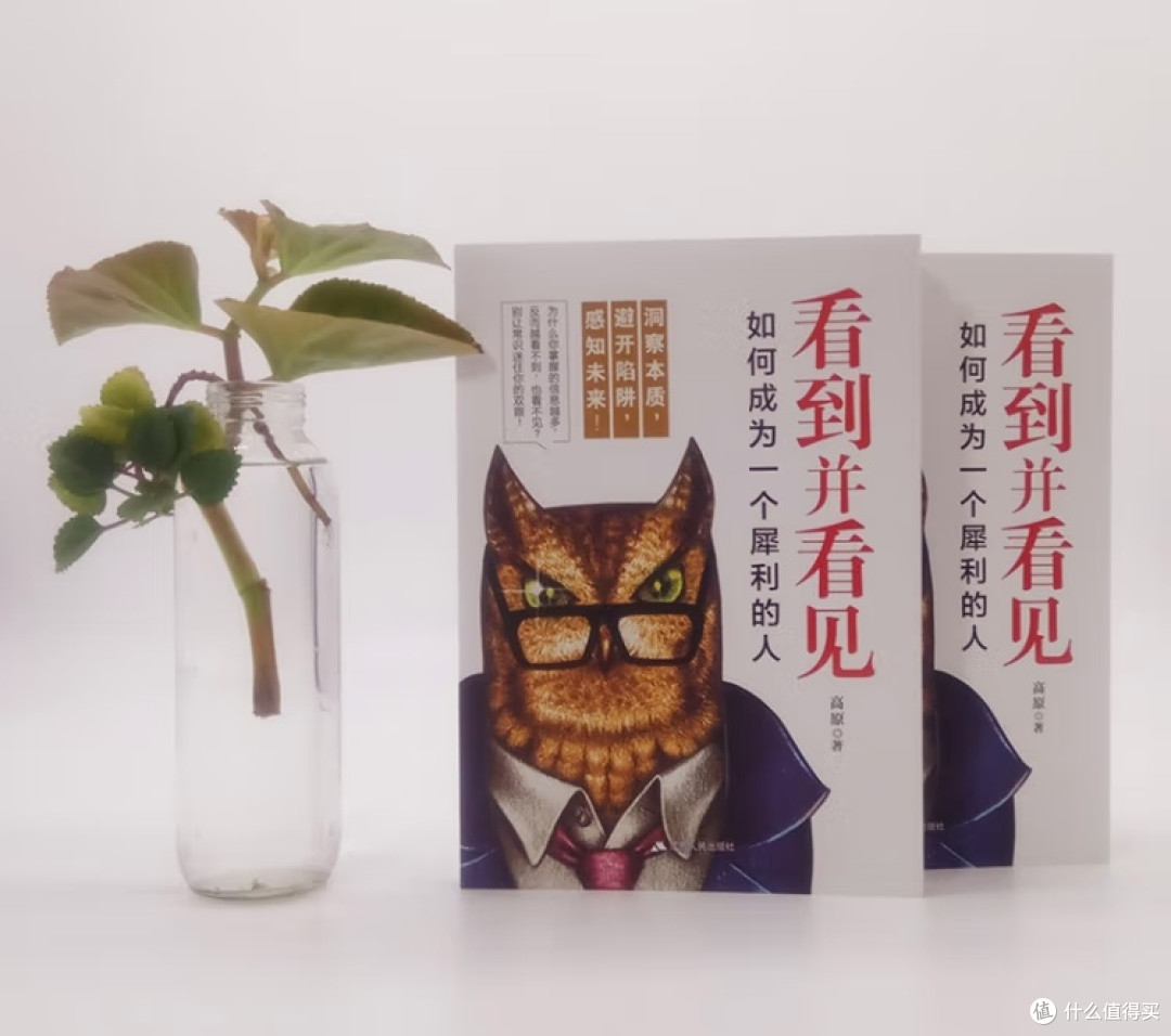 洞见能力与判断力的提升