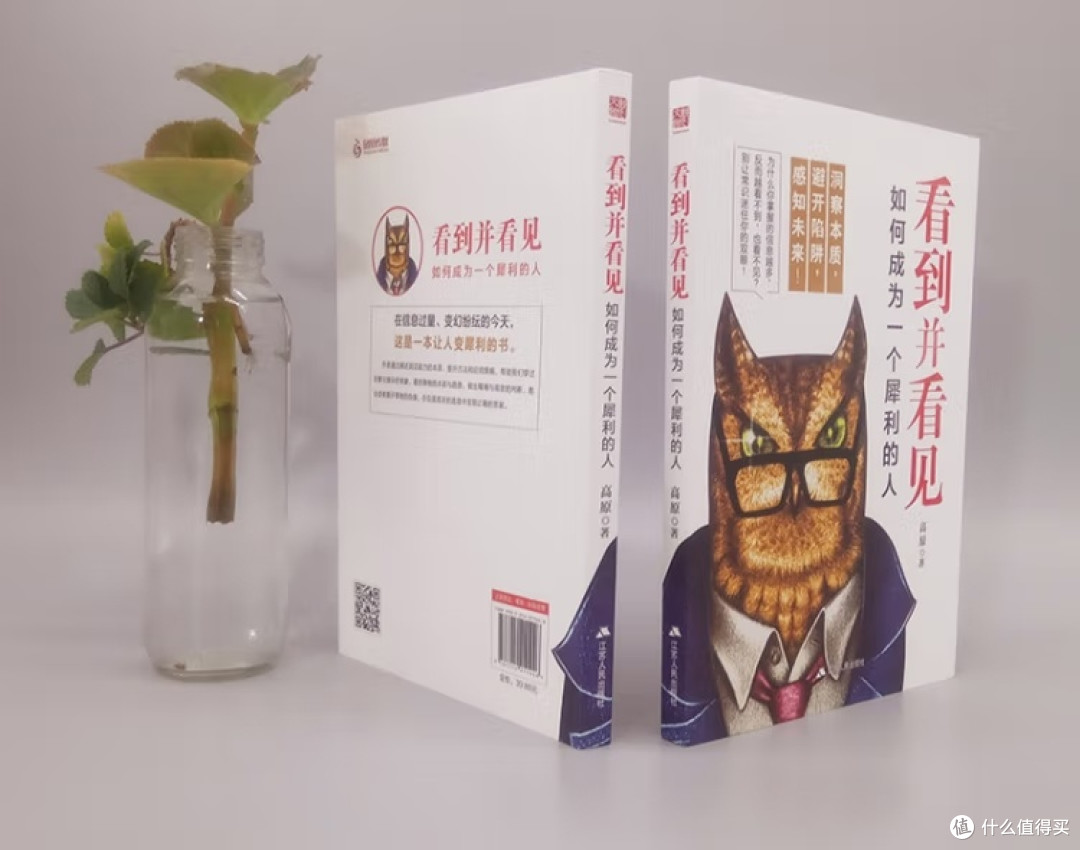 洞见能力与判断力的提升