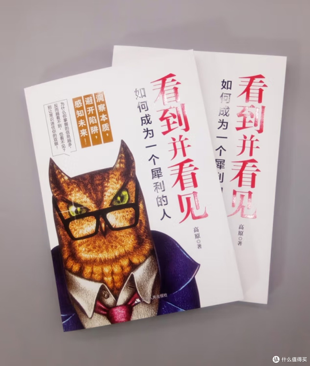洞见能力与判断力的提升