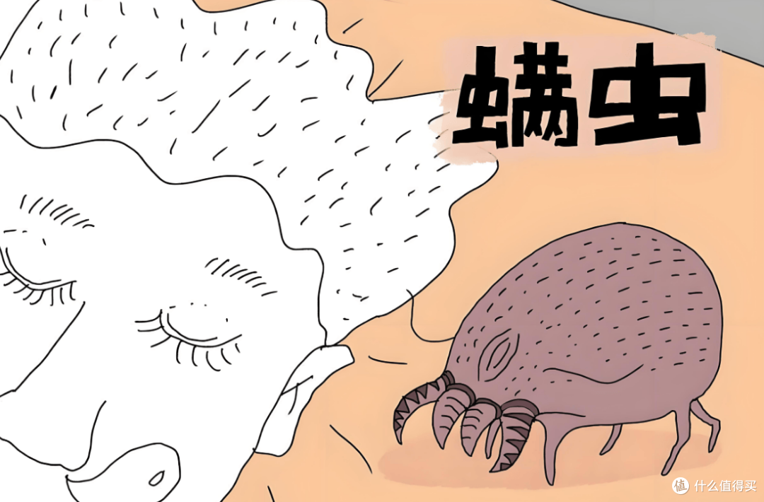 除满仪什么牌子的好?怎样挑选除螨仪?热销床上除螨仪机型推荐