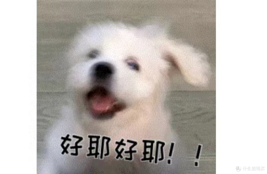 烘干机什么牌子好?甄选十大品质排行榜