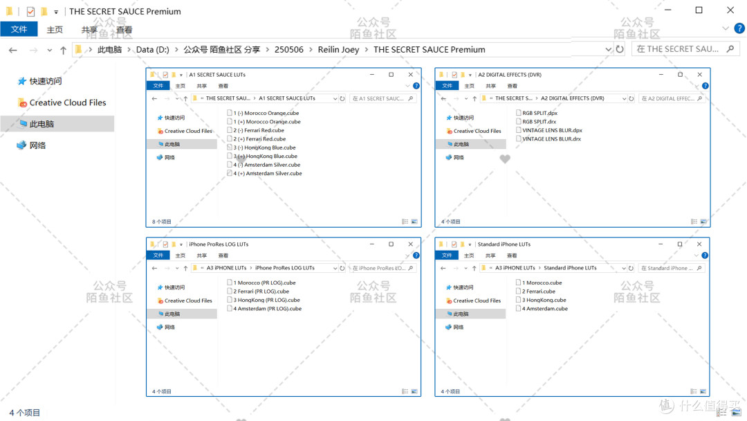 摄影师Reilin Joey高级佳能松下索尼相机监视器LUT达芬奇调色预设