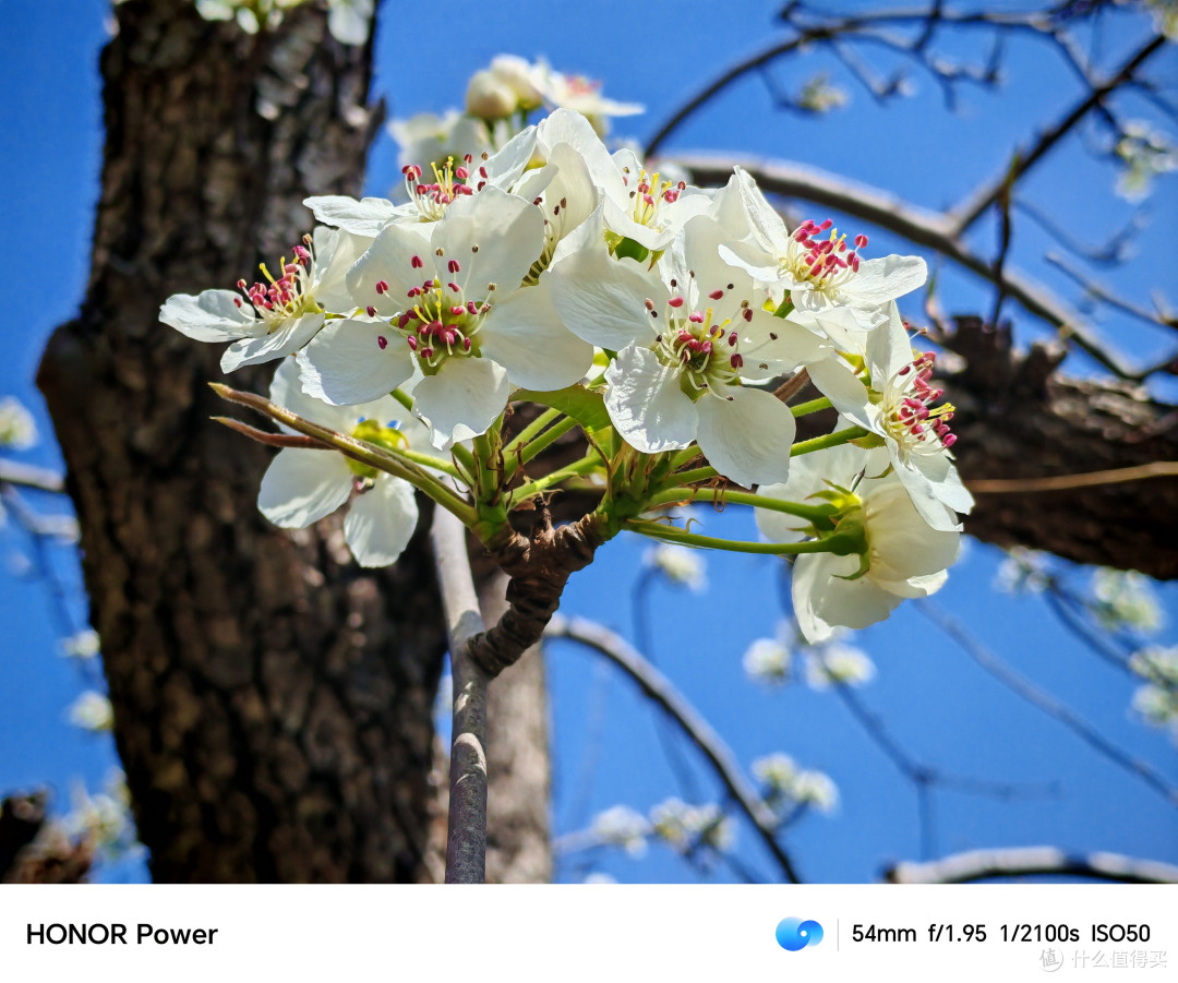 荣耀Power深度体验:8000mAh电池,两天一夜续航实测