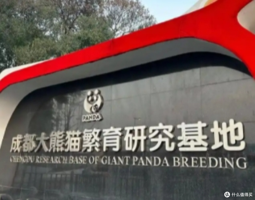 成都大熊猫繁育研究基地攻略:与国宝共度的治愈时光