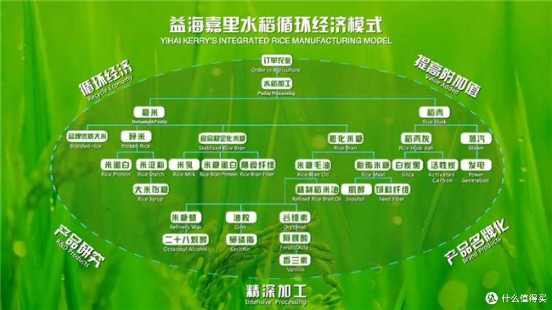 国民级粮油品牌金龙鱼持续领跑食用油行业