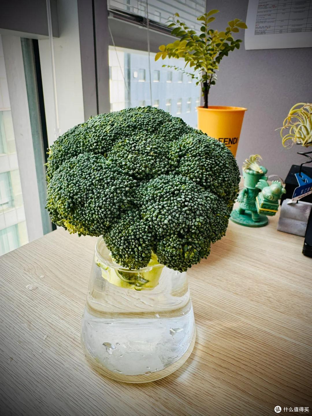 本来要炒个西兰花,它却开花了,山东一姑娘的“搞笑展示”,火了