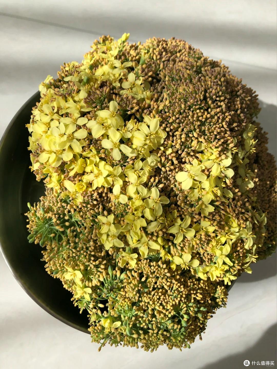 本来要炒个西兰花,它却开花了,山东一姑娘的“搞笑展示”,火了