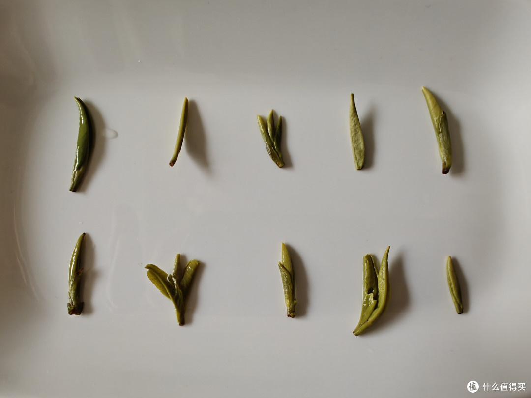 竹叶青小绿罐测评,不错的口粮茶兼伴手礼