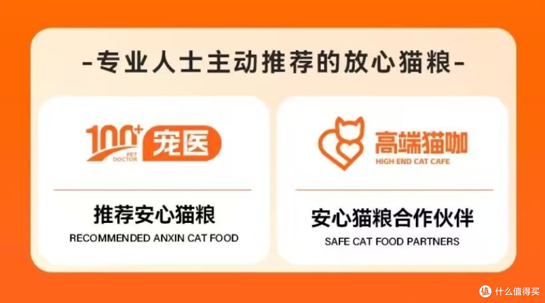 英短蓝猫吃什么猫粮好?2025全网最新测评又便宜又好的猫粮排名