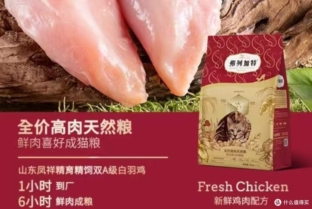 英短蓝猫吃什么猫粮好?2025全网最新测评又便宜又好的猫粮排名
