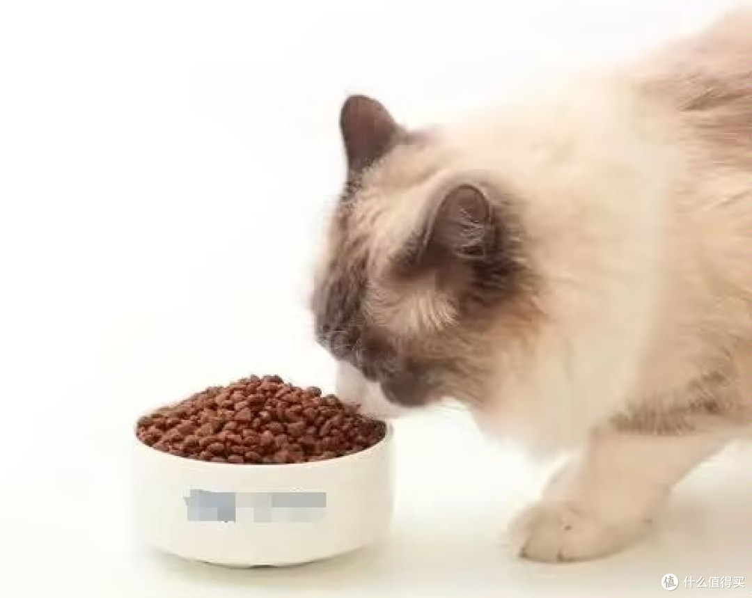 哪种猫粮比较好又不贵？618最值得入手国产猫粮排名前十品牌