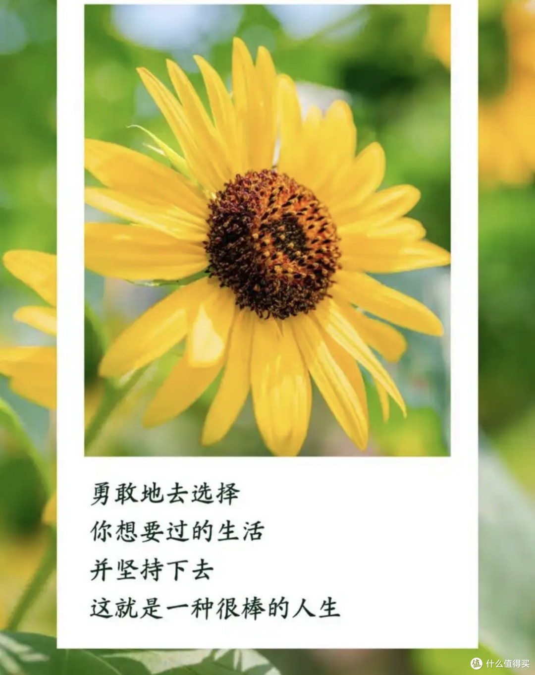 从纠结到动笔:写作的成长之路