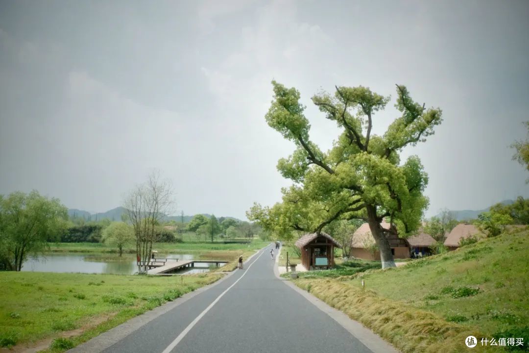 又chill又自由!对于这座城市的热爱又多了三分!