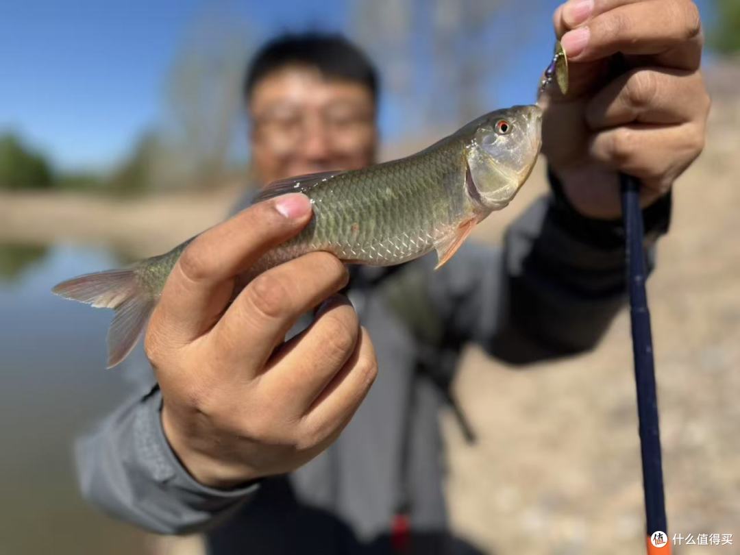 往往越简单的路亚饵,越有奇效,当然掌握起来也越难,比如亮片