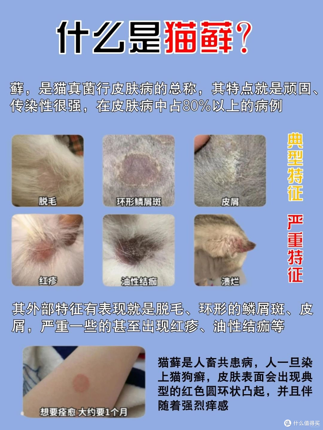 宠物专用除螨仪是智商税吗?莱克吉米S4 PRO MAX除螨仪真实测评