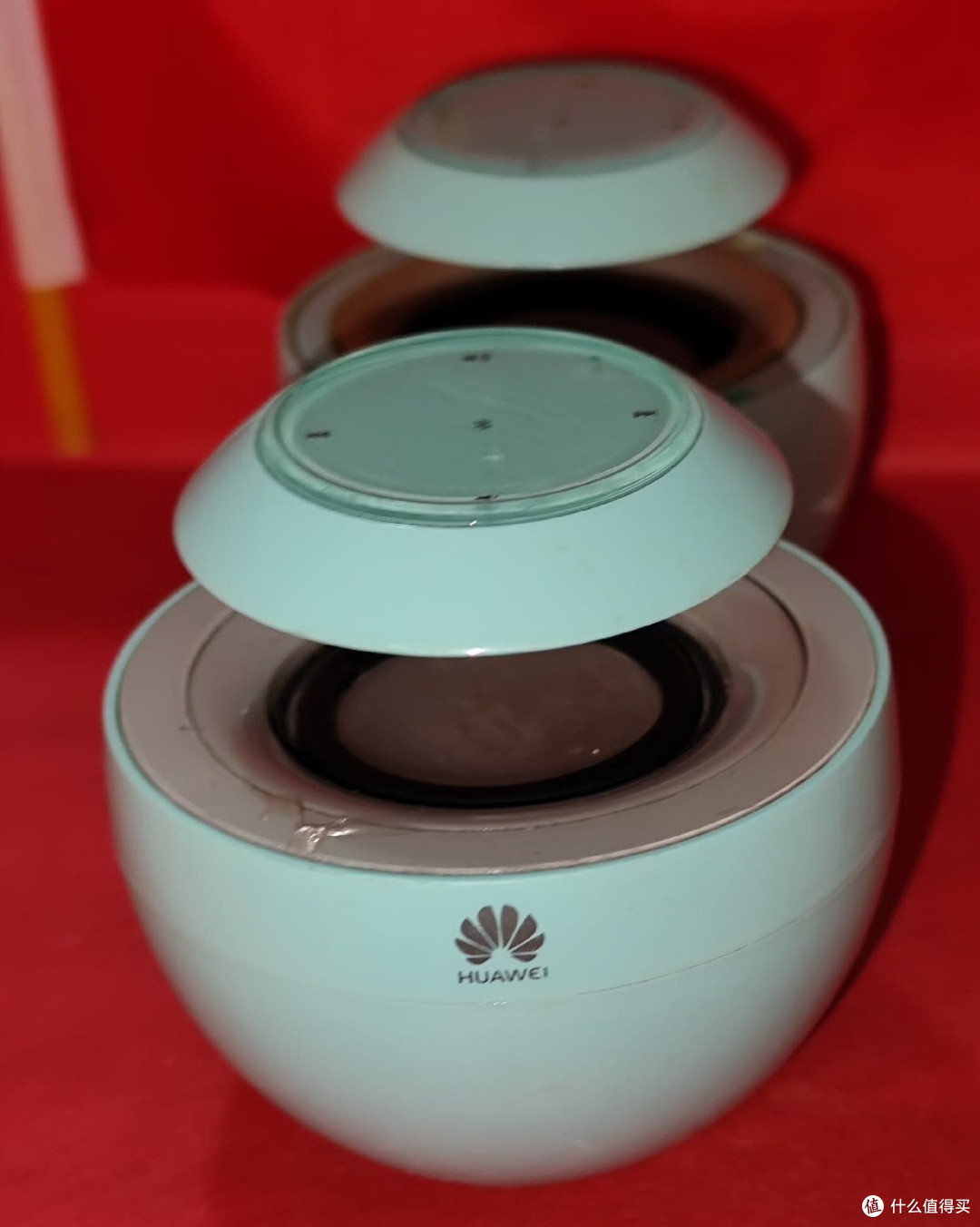 如果我不给你介绍,你能认出来他是什么东西吗?