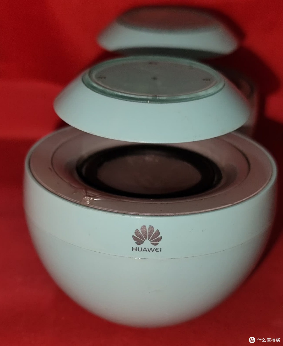 如果我不给你介绍,你能认出来他是什么东西吗?