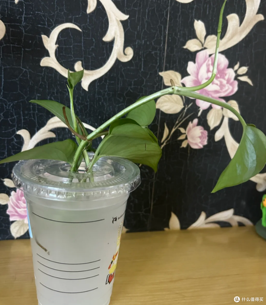 4种能养花的“废水”,胜过“花多多”,既省钱又实用!