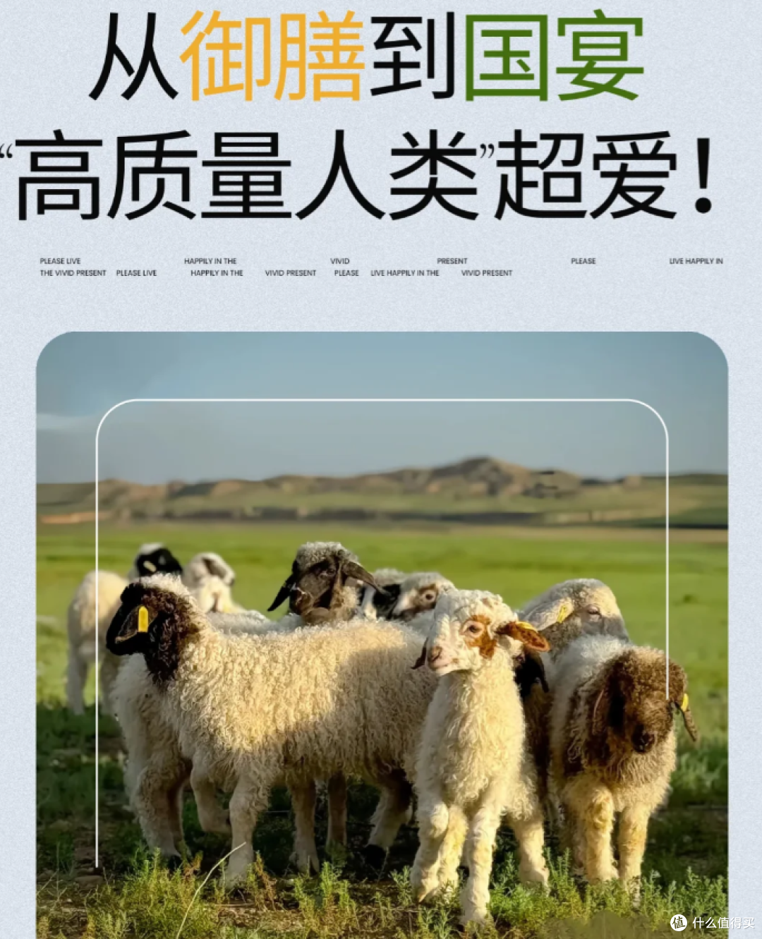 打工人的生鲜省钱攻略!宁夏滩羊这个宝藏品牌太香了