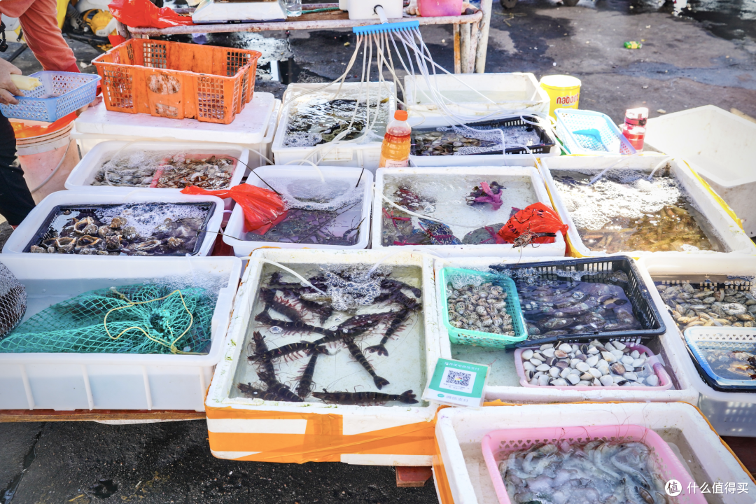 这是今年我最想安利的海边小城！物价贴地、海鲜巨鲜！