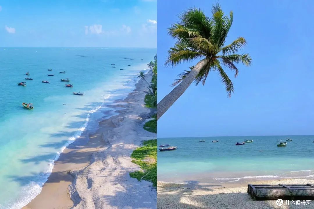 这是今年我最想安利的海边小城！物价贴地、海鲜巨鲜！