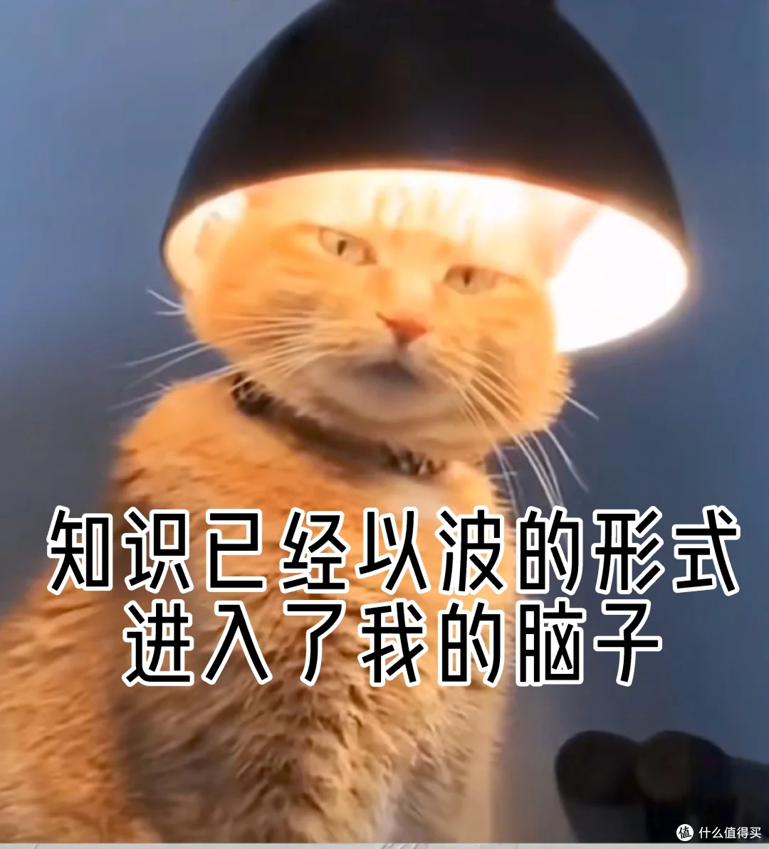 2025年人体工学椅推荐：哪个牌子的人体工学椅比较好？
