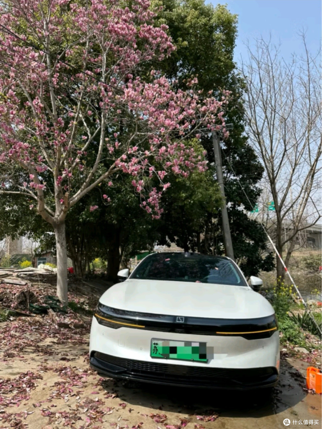 格莱贝美蜡水洗车液:高泡沫洗车新体验,爱车如新不再是梦