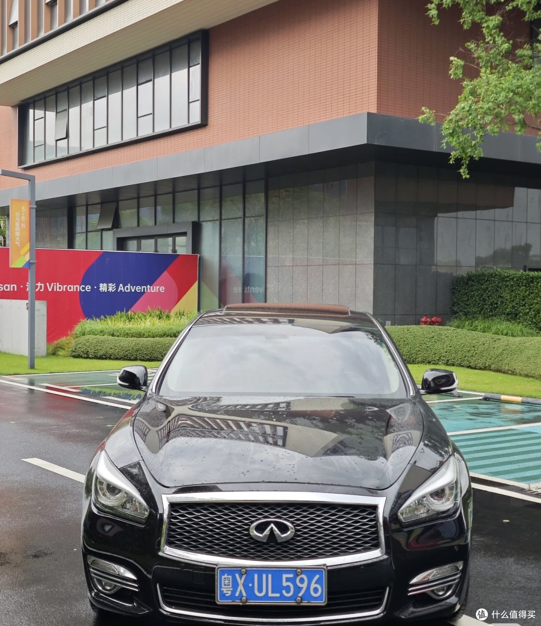 Q70 | 老Baby鉴赏