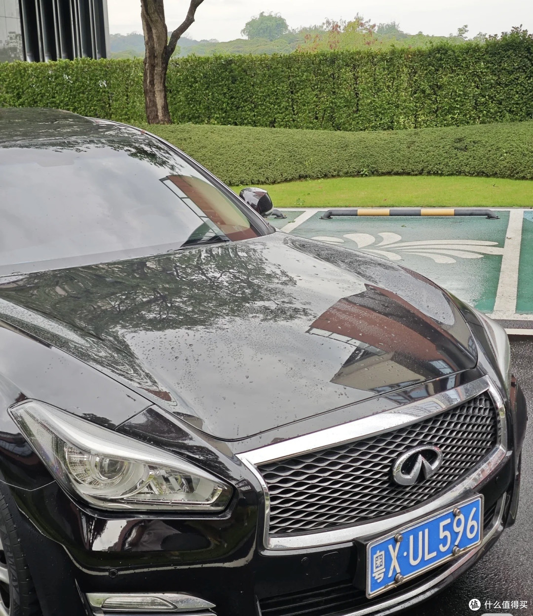 Q70 | 老Baby鉴赏