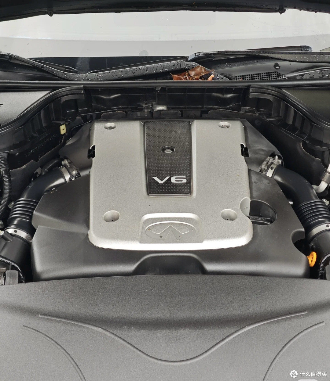 Q70 | 老Baby鉴赏