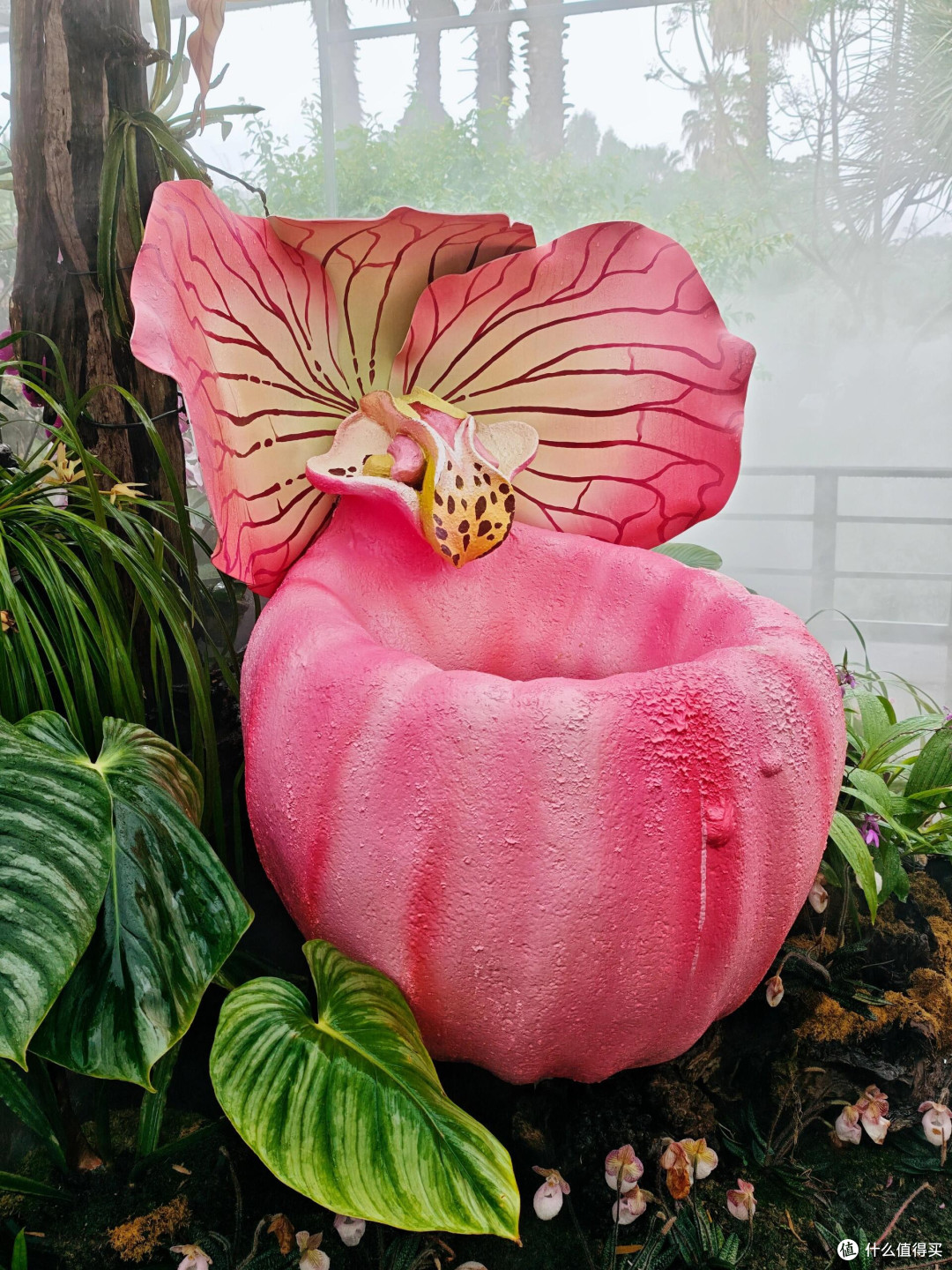 这个季节,在昆明植物园可以拍什么!!