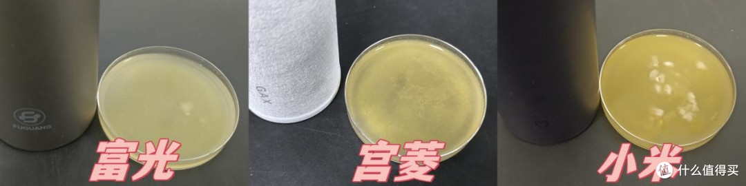 宫菱、富光、小米保温杯怎么样?值得买吗?实力测评品牌红黑榜!