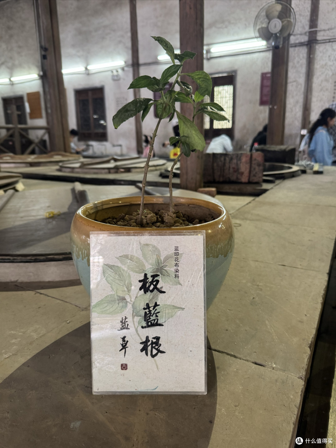 烟雨蒙蒙逛乌镇，旧地重游的感觉大不同。