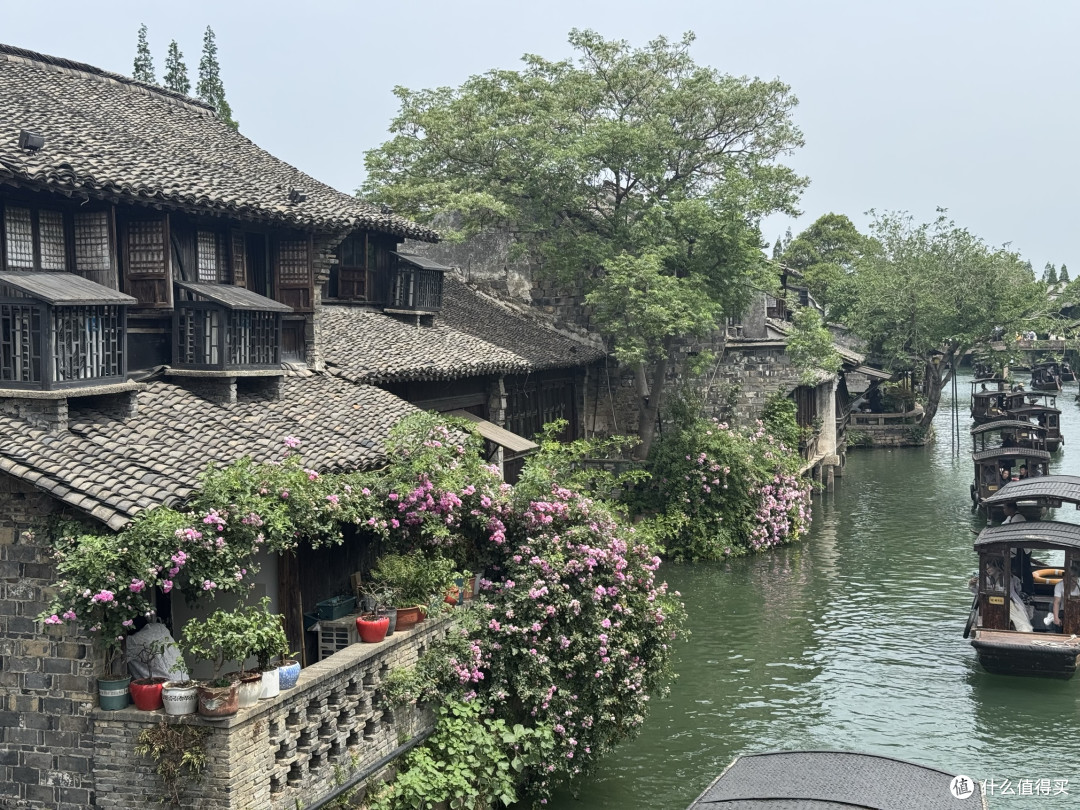 烟雨蒙蒙逛乌镇，旧地重游的感觉大不同。