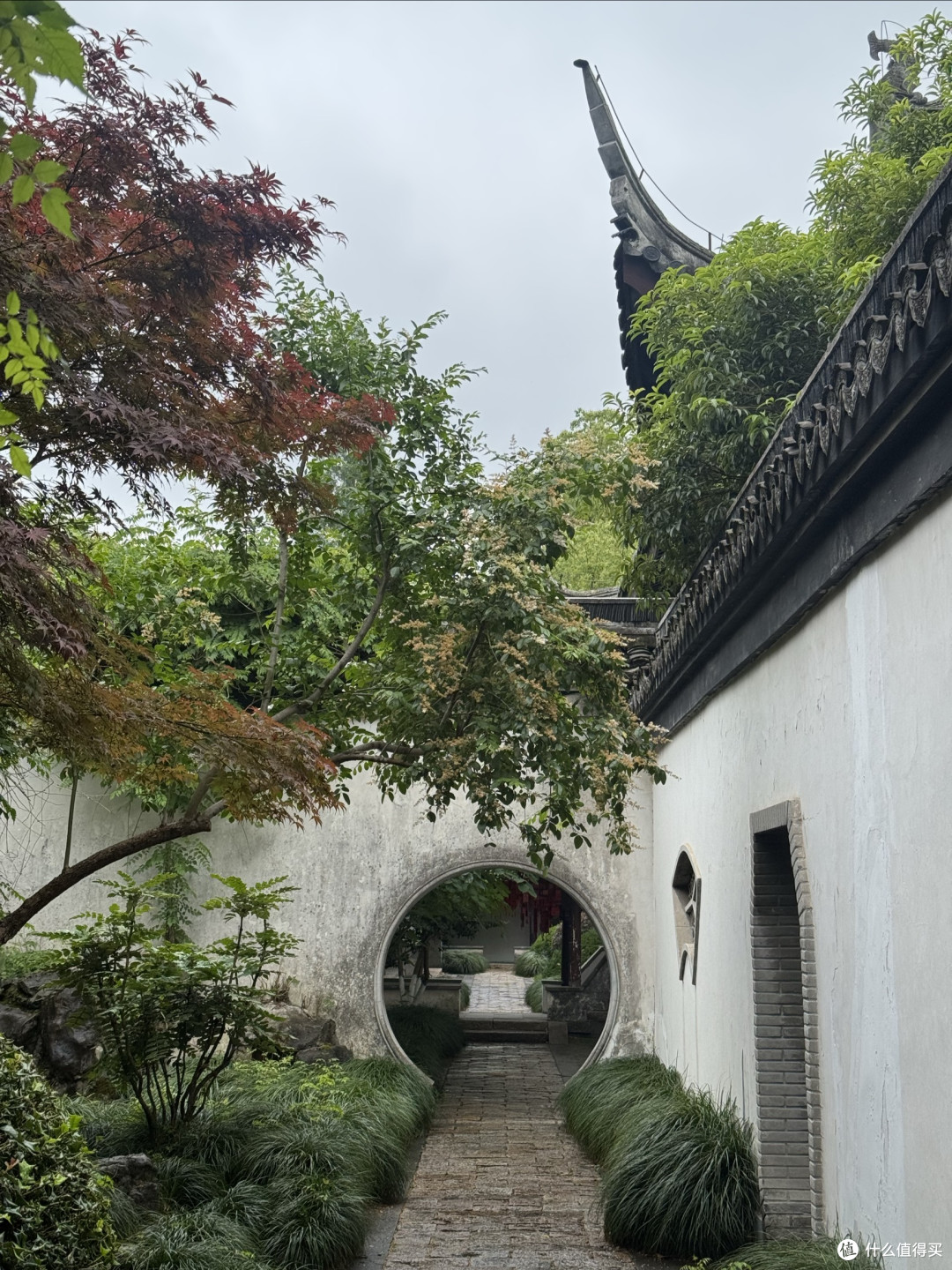 烟雨蒙蒙逛乌镇，旧地重游的感觉大不同。