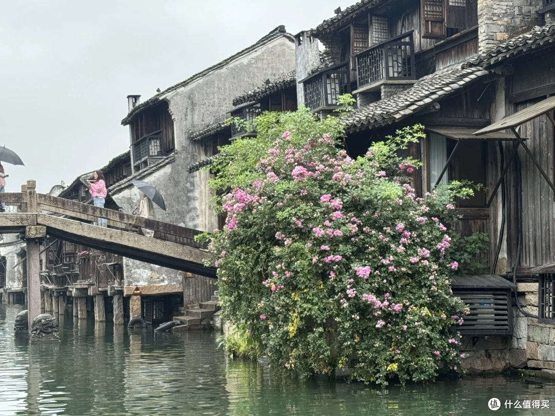 烟雨蒙蒙逛乌镇，旧地重游的感觉大不同。