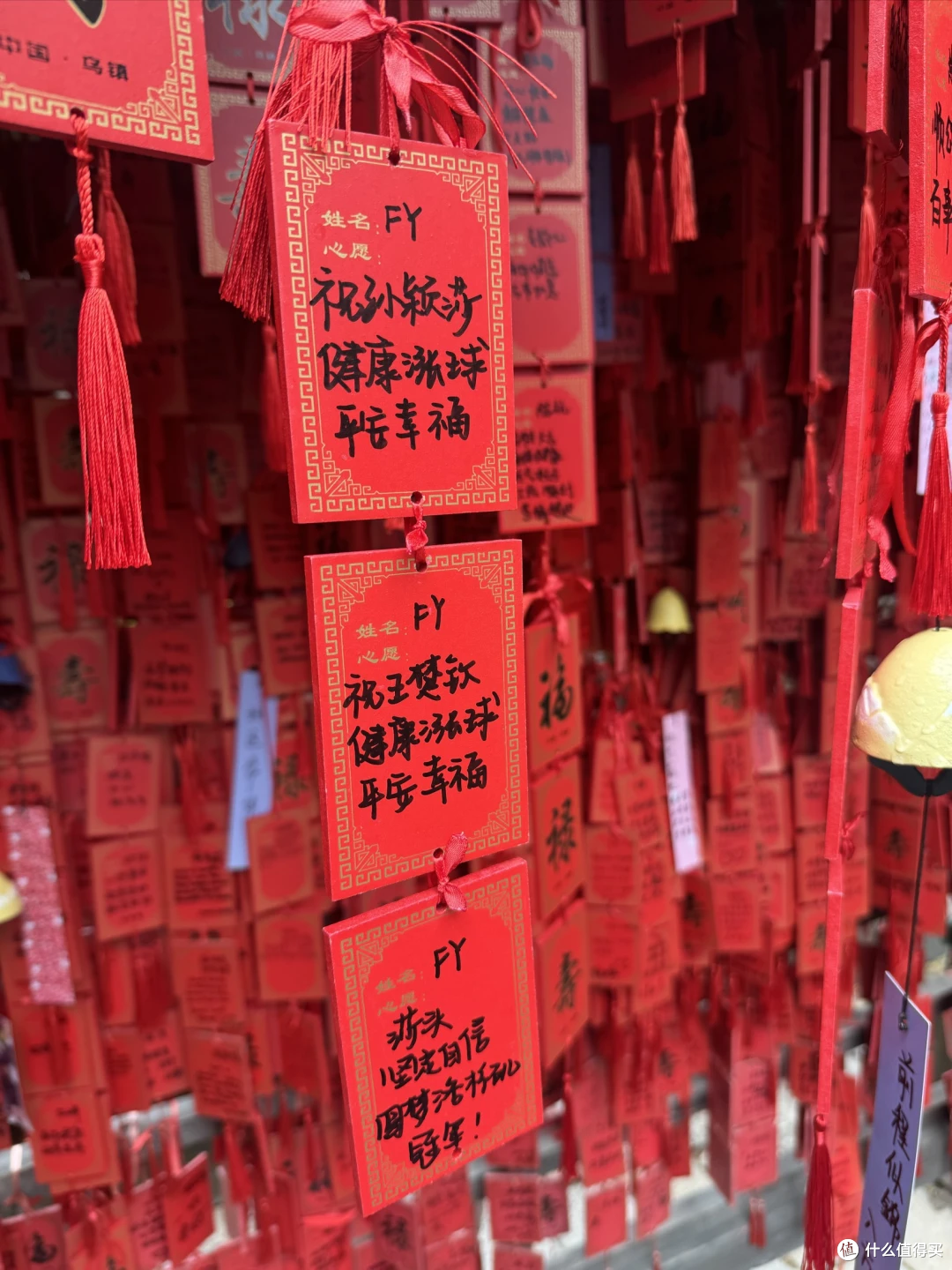 烟雨蒙蒙逛乌镇，旧地重游的感觉大不同。