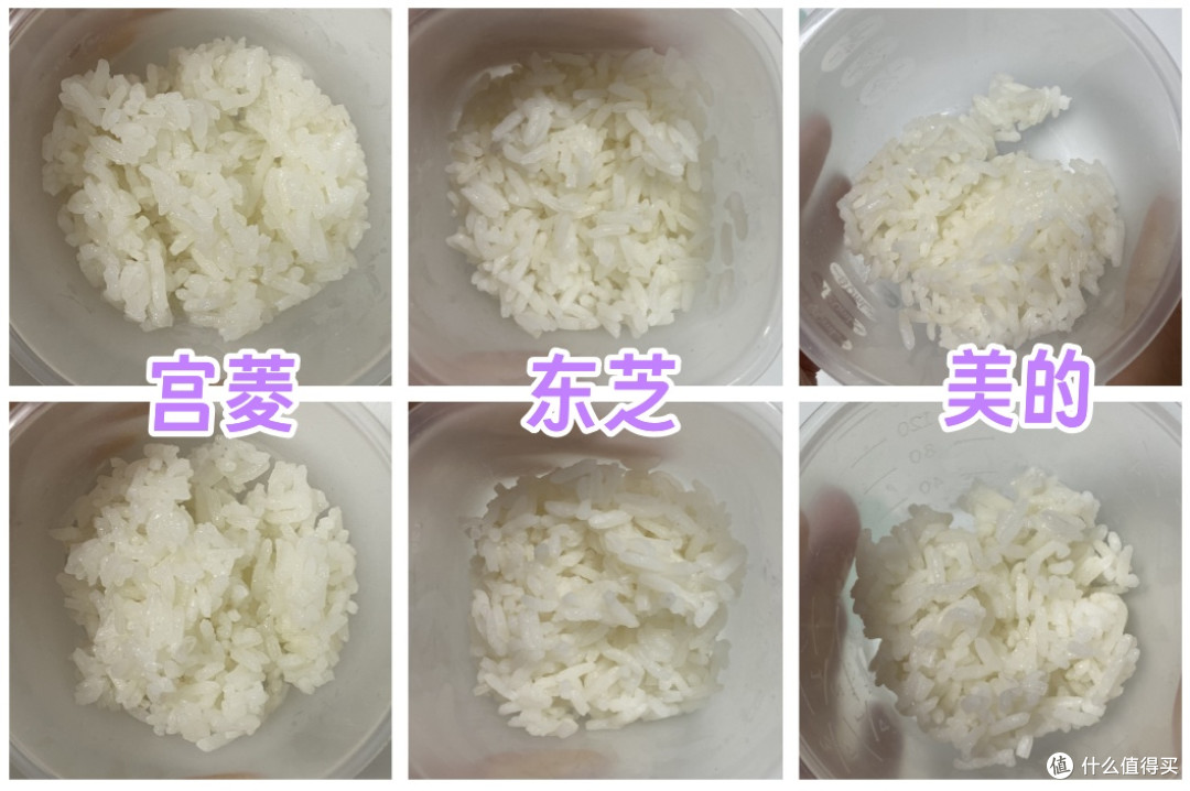 东芝、美的、宫菱电饭煲好不好用？怎么选？火爆机型测评大战！