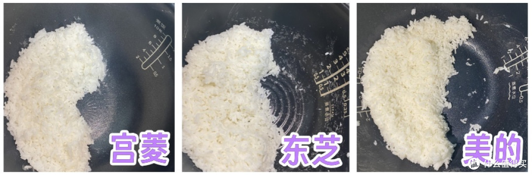 东芝、美的、宫菱电饭煲好不好用？怎么选？火爆机型测评大战！