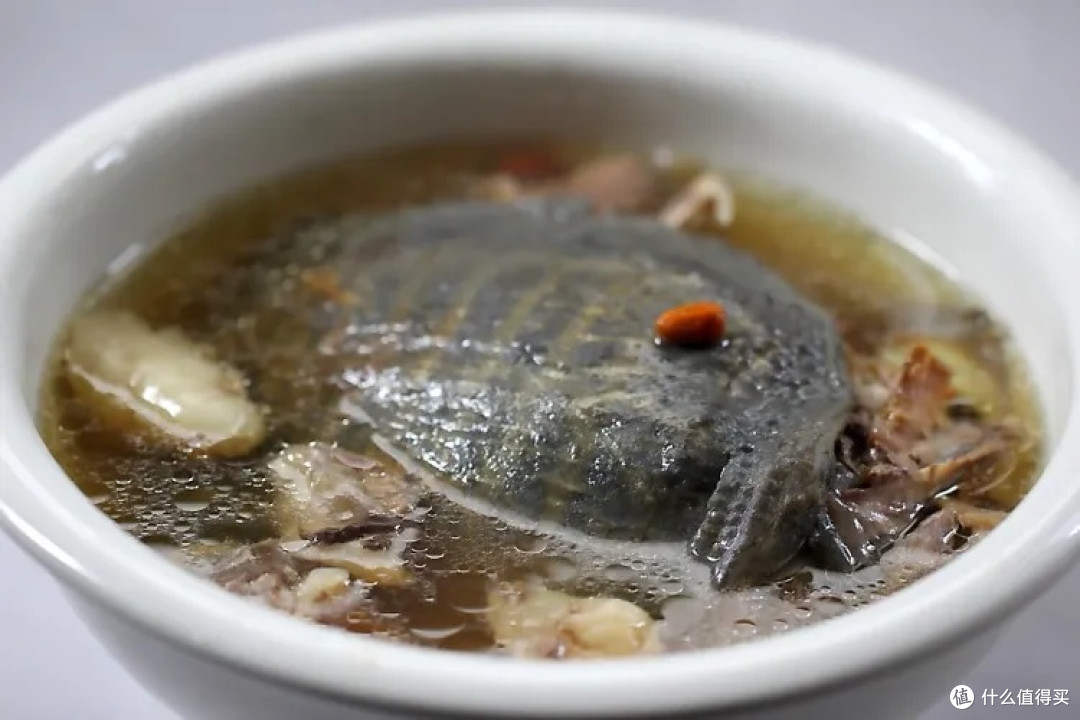清炖甲鱼,鲜香软烂的美味享受