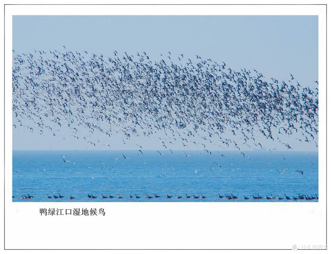 鸭绿江畔，邂逅五一的诗与远方