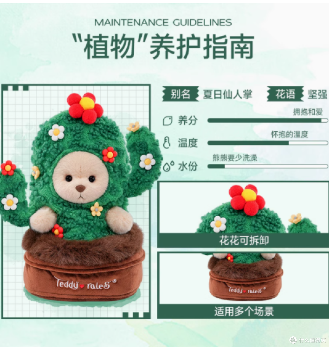 探索夏日奇迹,与莉娜熊共赴仙人掌之约——TeddyTales20cm娃衣