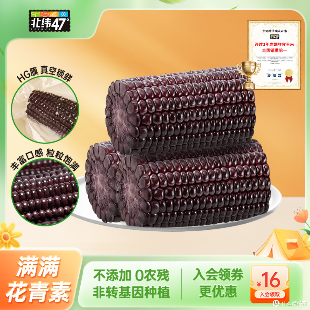 🌽 黑科技颜值党狂喜 真空包装开袋就惊到——颗粒黑得发亮！查了才知道是天然花青素，抗氧化能力吊打普通玉米（难怪健身博主强推）。蒸10分钟或者微波炉叮3分钟，瞬间香气扑鼻，懒人福音！