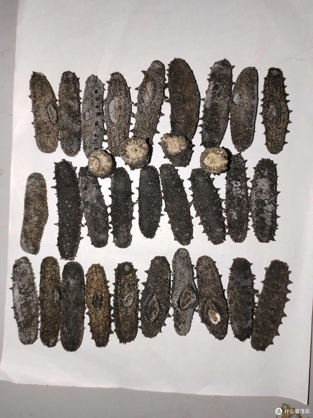 大家都来看看干海参腹腔充满黄色物质是什么成分？