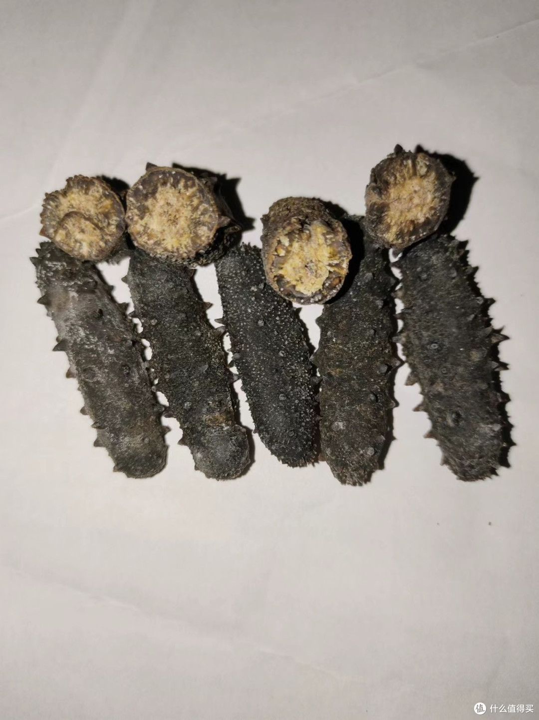 大家都来看看干海参腹腔充满黄色物质是什么成分？