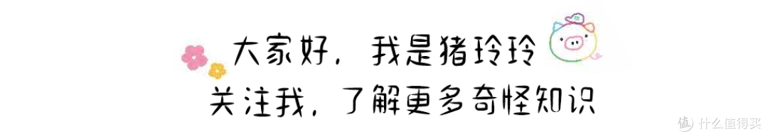 618轻薄无线键盘怎么选?出差党,星巴克党,工位党都给来点建议